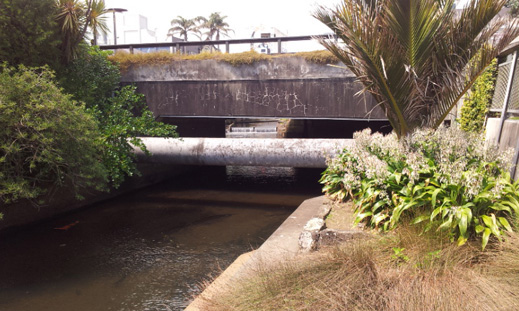 Looking upstream from the landing, the Huatoki again passes under a road. Beyond the pipe and through the other side you can see where the stream drops 30-60cm (1-2 feet) 