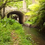 Permalink to SCANZ2015: meander vs grid Looking downstream, back toward the main street of New Plymouth. The two trees on the left are marked historic by the Council and must be preserved.