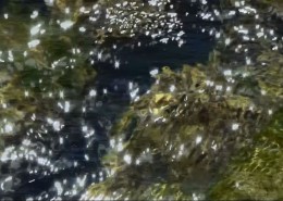 A still image of shimmering surface of moving river water.