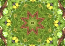 A yellow and green mandala with an orange centre.