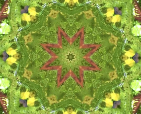 A yellow and green mandala with an orange centre.