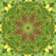A yellow and green mandala with an orange centre.