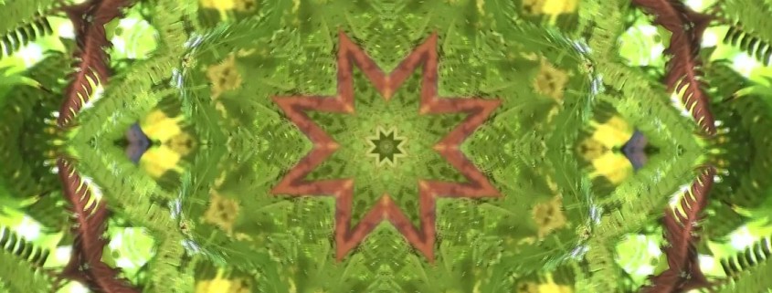 A yellow and green mandala with an orange centre.