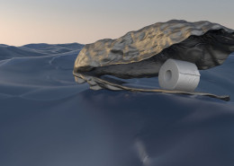 The large shell of an oyster floats on the water with a new roll of toilet paper balancing inside it.
