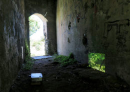 Azadeh Emadi project