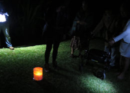 Ilka Nelson project